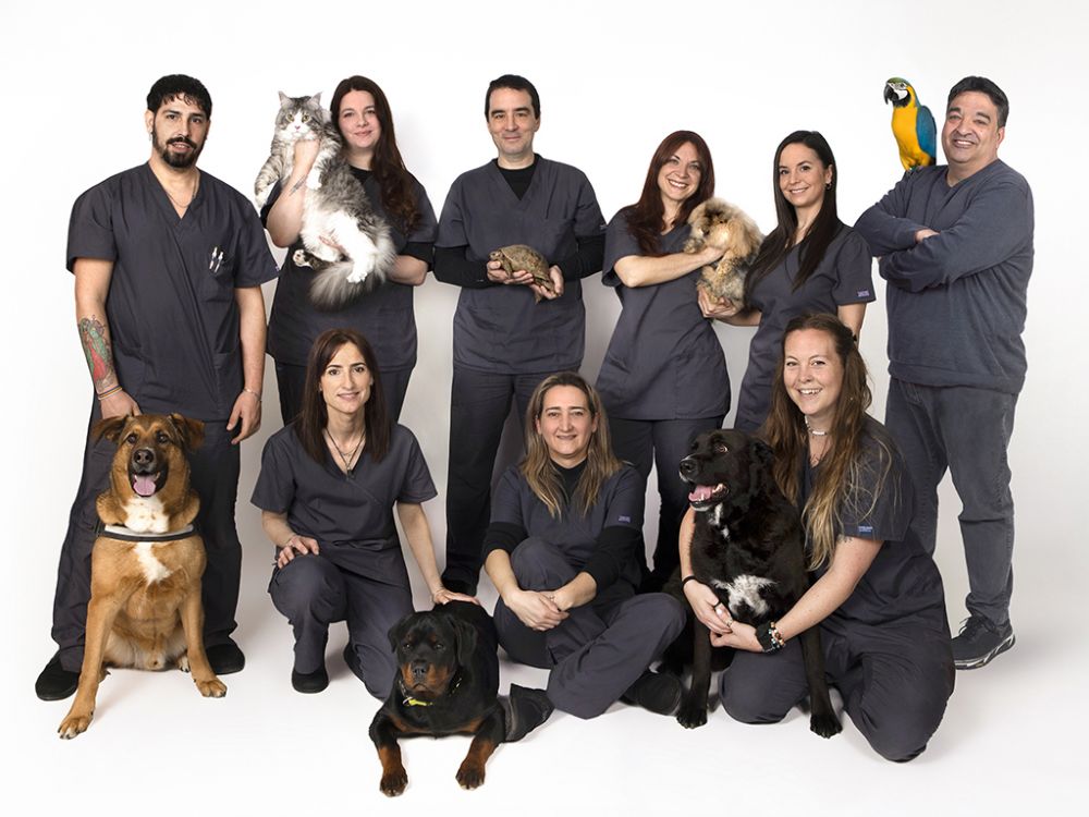 VETERINARIS